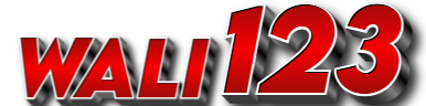 turbowin777
